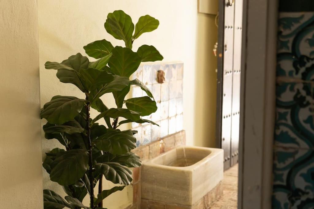 Nueva Casa Boutique En El Centro De Sevilla Екстериор снимка